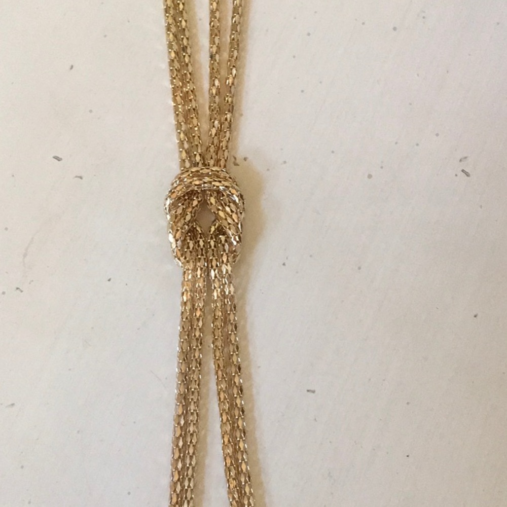 Long Gold Necklace! Nordstrom
